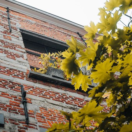 Duplex In Historical Centre With Private Courtyard Appartement Antwerpen Buitenkant foto