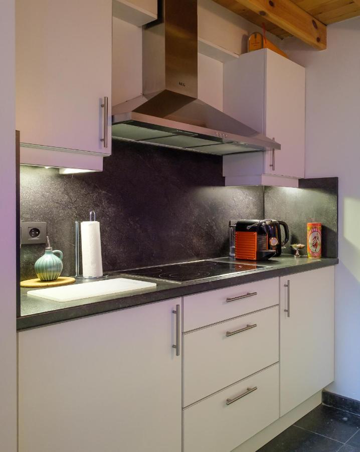 Duplex In Historical Centre With Private Courtyard Appartement Antwerpen Buitenkant foto